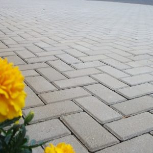 Pisos Intertravados: Retangular Holandês